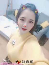 西青中北九儿