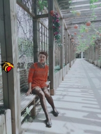 王顶堤东北熟女