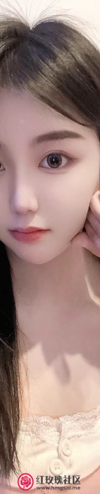 唯有花呗渡佳人